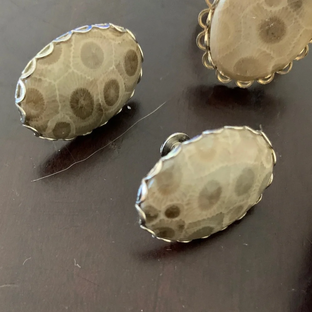 Beige Petoskey Stone Pendant and Earring Set - Natural Beige Jewelry